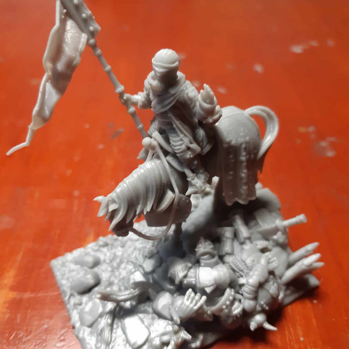 Mounted Captain