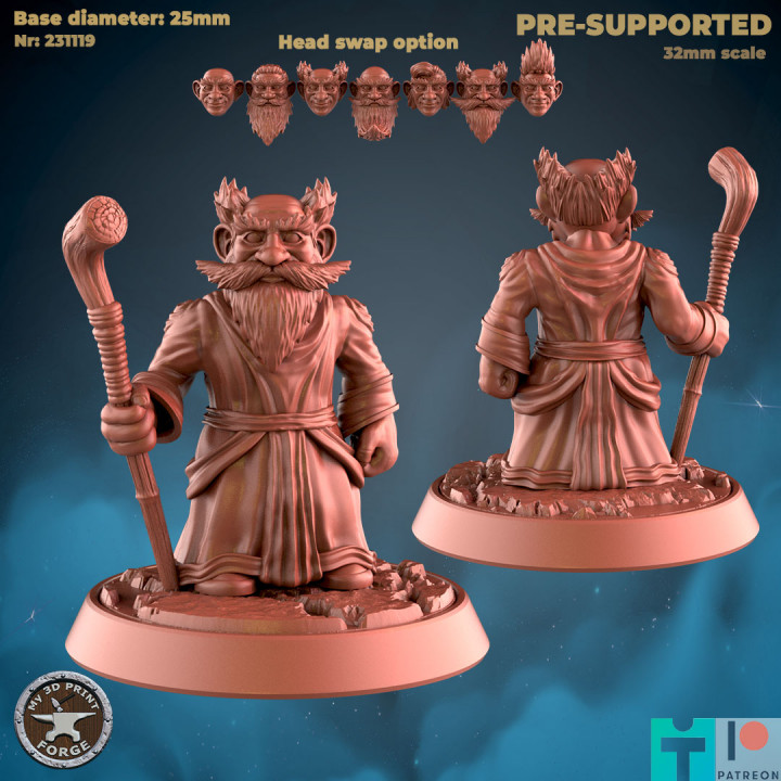 Gnome Mage Three Models image