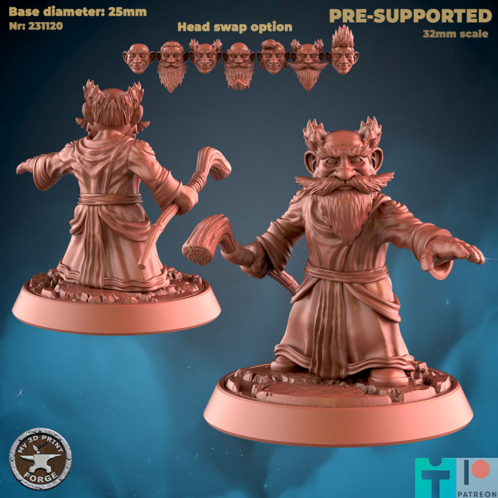 Gnome Mage Three Models image