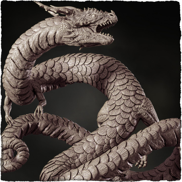 Asian Dragon image