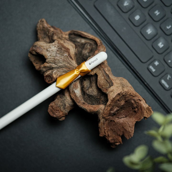 Apple Pencil Tie Clip