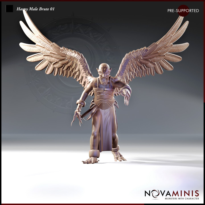 3D Printable Harpy Male Brute 01 by NOVAMINIS