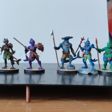 Picture of print of Sahuagin warband