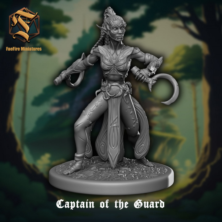 Captain of the guard - 40mm base