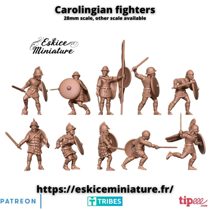 Carolingian fighters - 28mm image