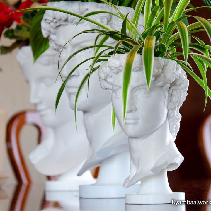 David planter