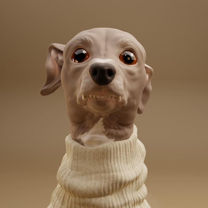 Suzy Sweater image