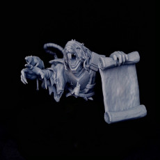 Picture of print of Plague Fraile - (55mm Bust + Full Body Figure)