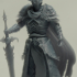 Death Knight Marius (2 sizes included) print image