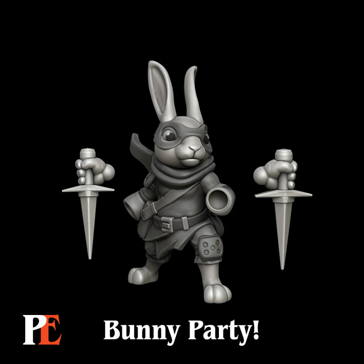 Bunny Rogue