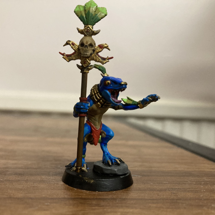 Pygmy Lizardmen Witchdoctor image