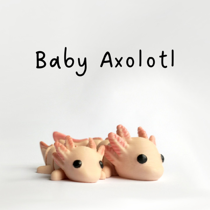 Baby Axolotl