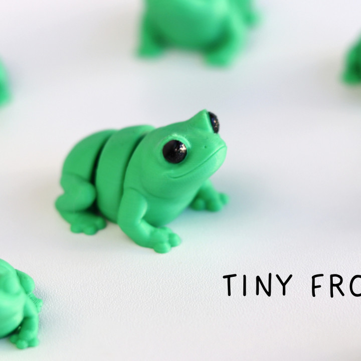 Tiny Frog image