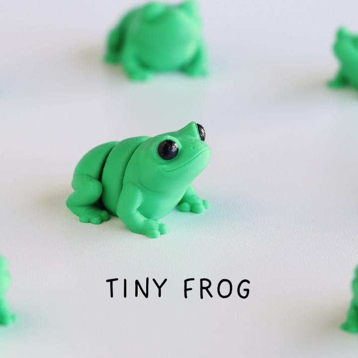 Tiny Frog image