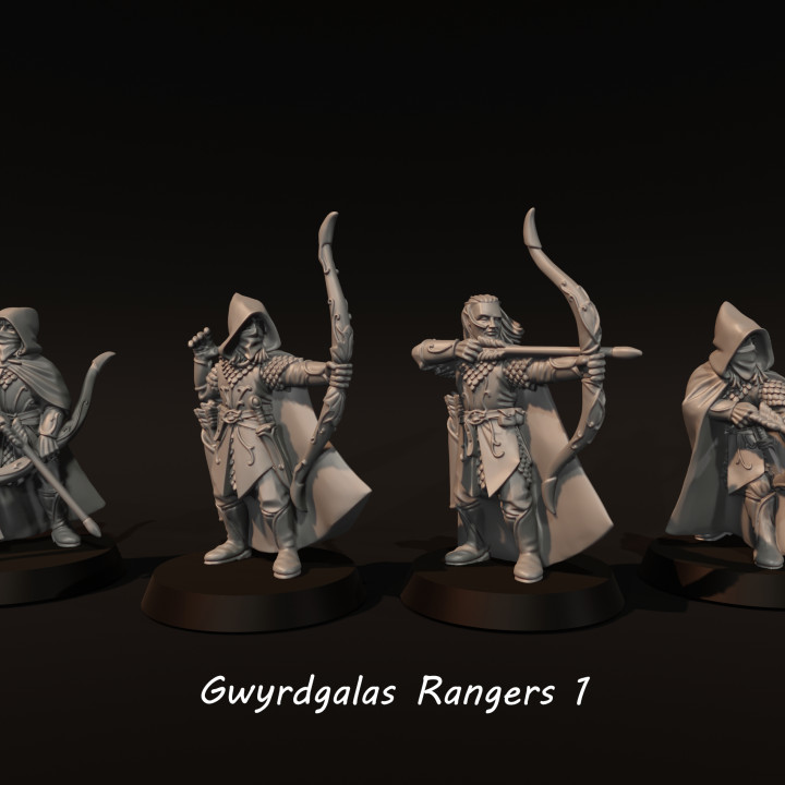 Gwyrdgalas Rangers 1 image