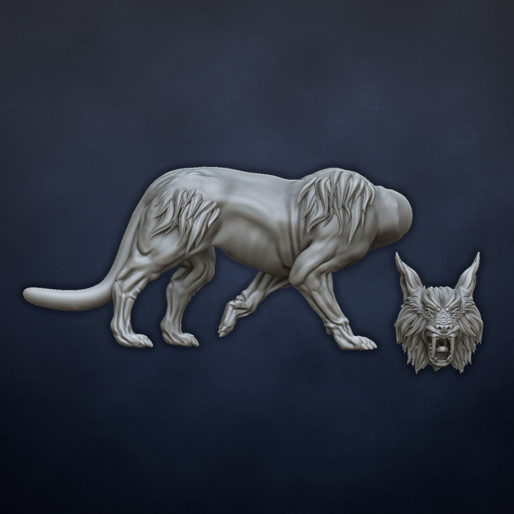 Cave lynxes image