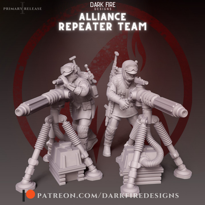 Alliance Winter Repeater Team image