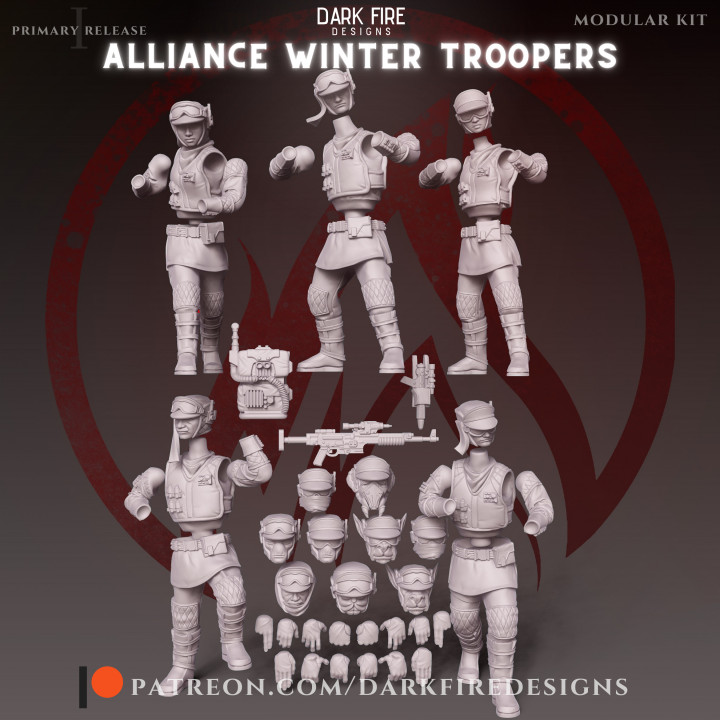 Alliance Winter Trooper Squad image