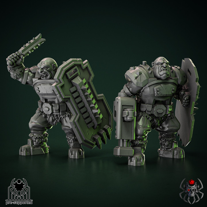 Heavy Ogre Squad "IceWind"
