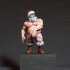 Bae Victis : Santa 32MM and 75MM [PRE-SUPPORTED] print image