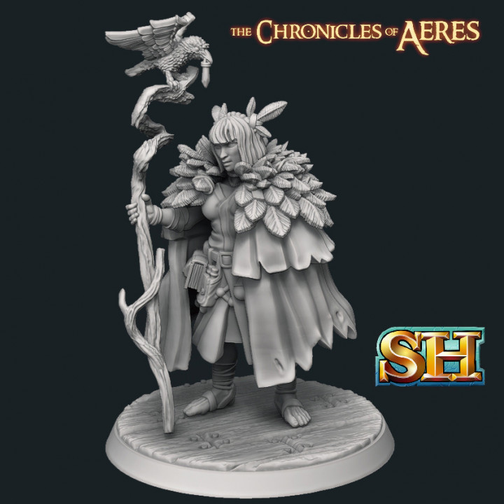 Female Human Hedgewitch