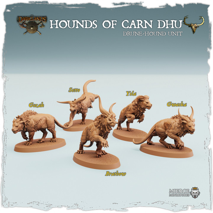 Ysian Hounds of Carn Dhu, Drune-Hound Unit image