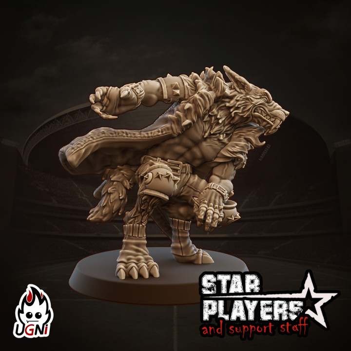 Wolfhelm Shaney - Star Player image