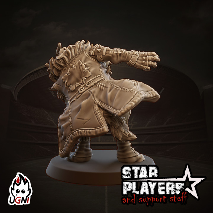 Wolfhelm Shaney - Star Player image