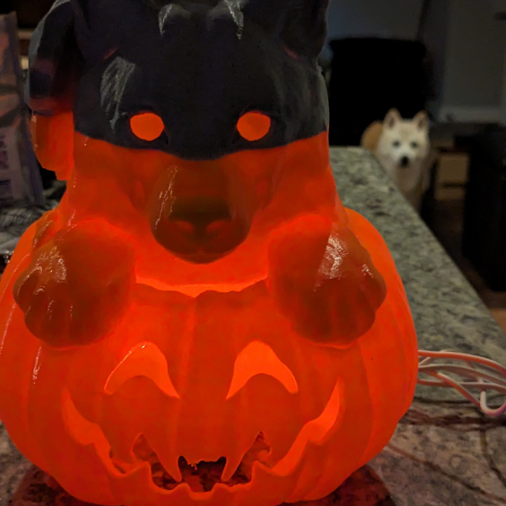 Shiba inu pumpkin image