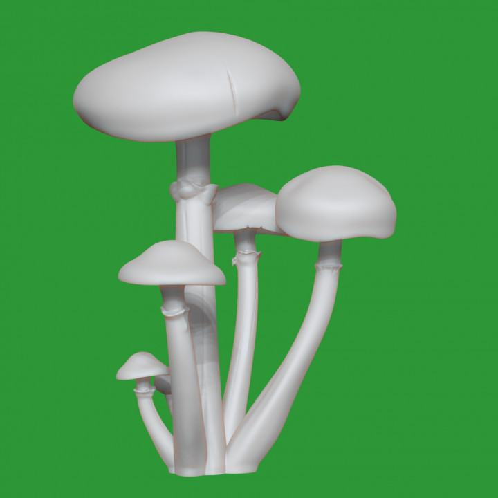 3d file mushrooms Slime mucidule to print