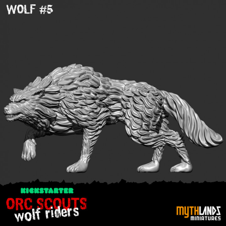 Wolf 5's Cover