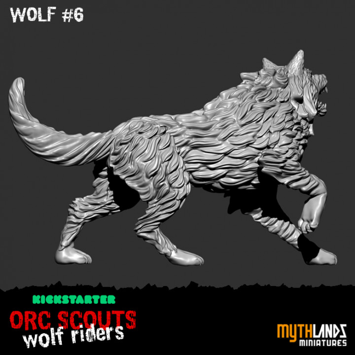 Wolf 6