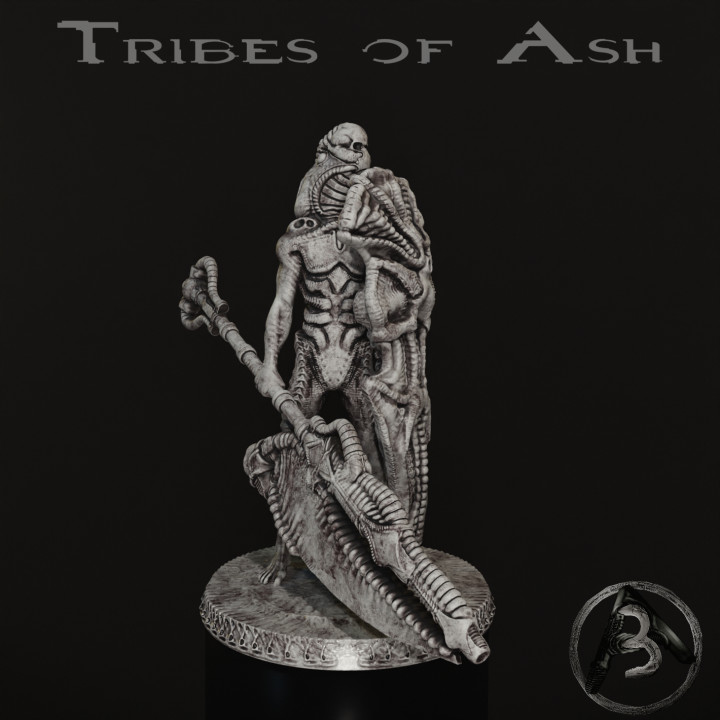 Tribes of Ash vol. 3: UmbraRuler Shield bearer image
