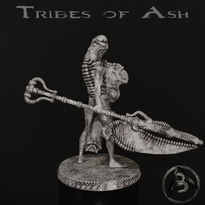Tribes of Ash vol. 3: UmbraRuler Shield bearer image