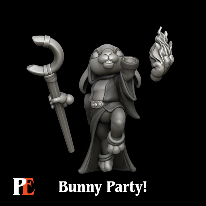 Bunny Sorcerer image
