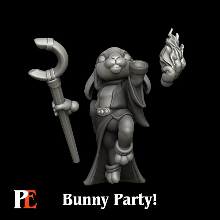 Bunny Sorcerer