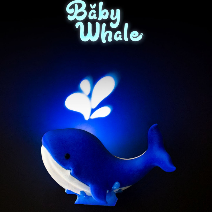 Baby Whale image