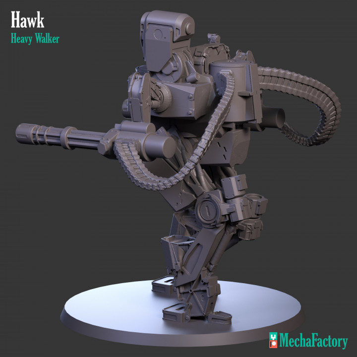 Hawk Heavy Walker image