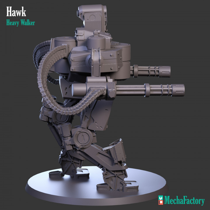 Hawk Heavy Walker image