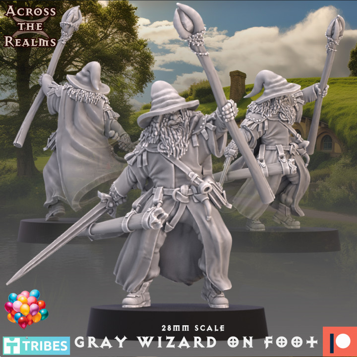 Grey Wizard image