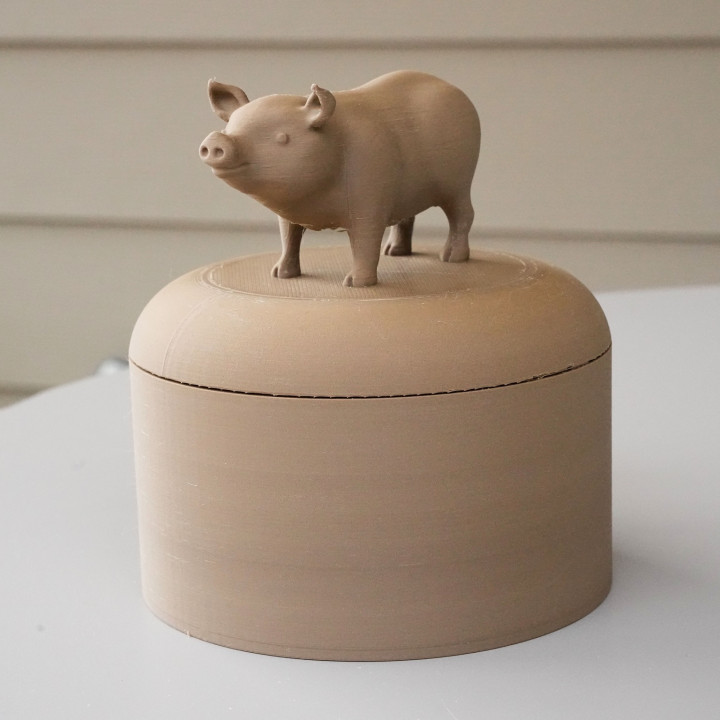 Pig jar image