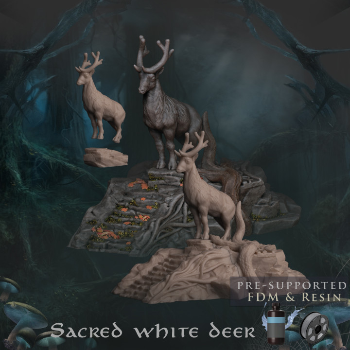 Sacred white deer image