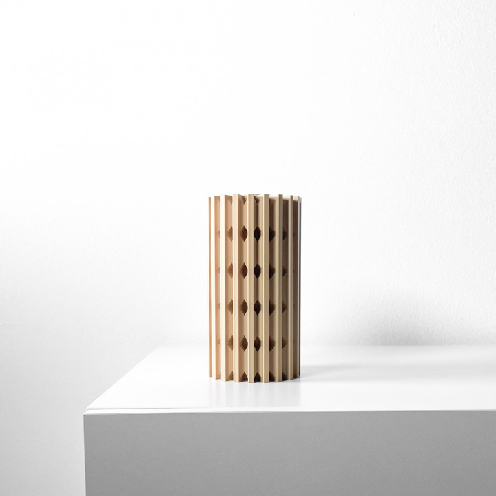 The Lycas Vase, Modern and Unique Home Decor for Dried and Flower Arrangements  | STL File image