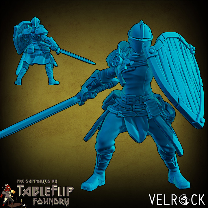 Heroes of Fortune Female Knight with Sword and Shield (PRESUPPORTED)