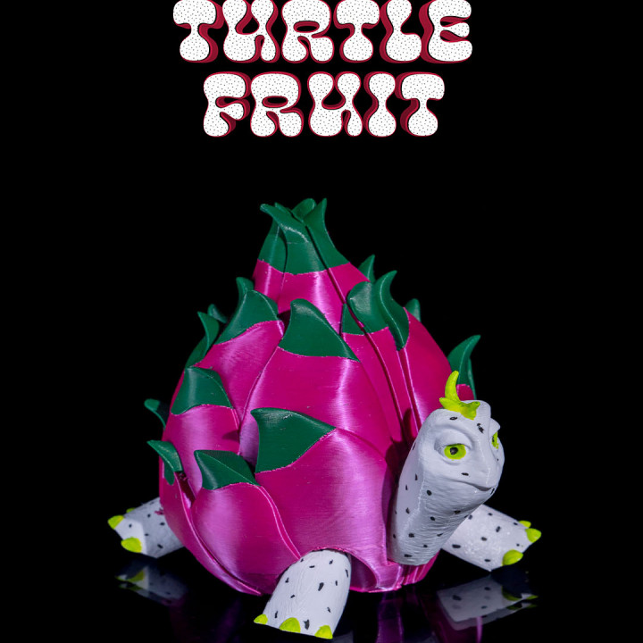 Turtle Fruit image