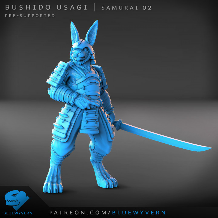 Bushido Usagi - Samurai B image