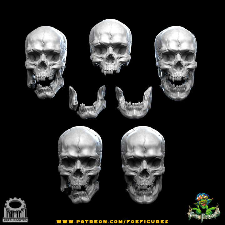 Realistic Human & Vampire Skulls! 4 versions! image