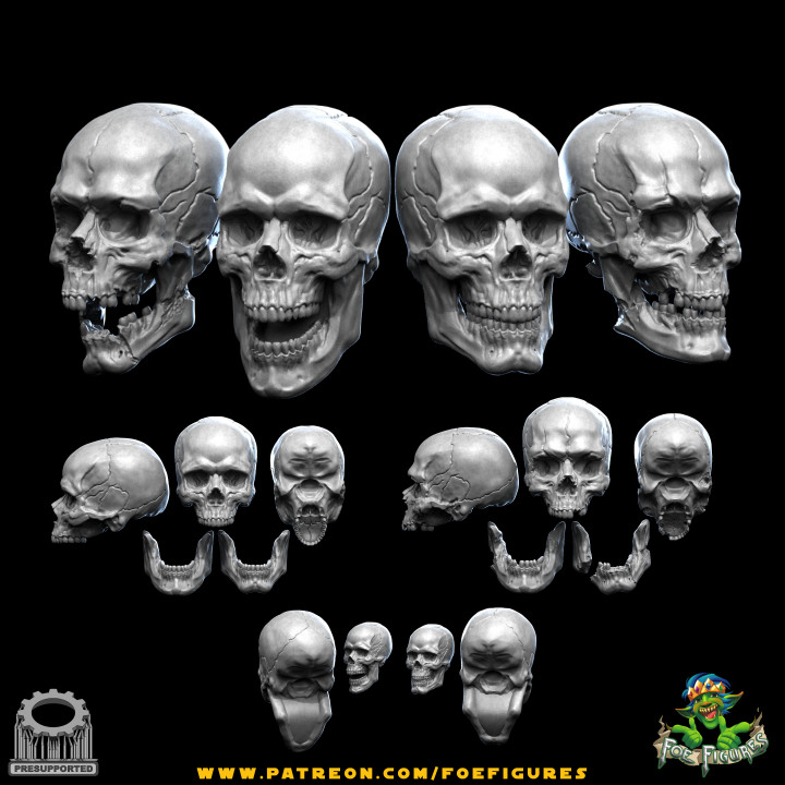 Realistic Human & Vampire Skulls! 4 versions! image