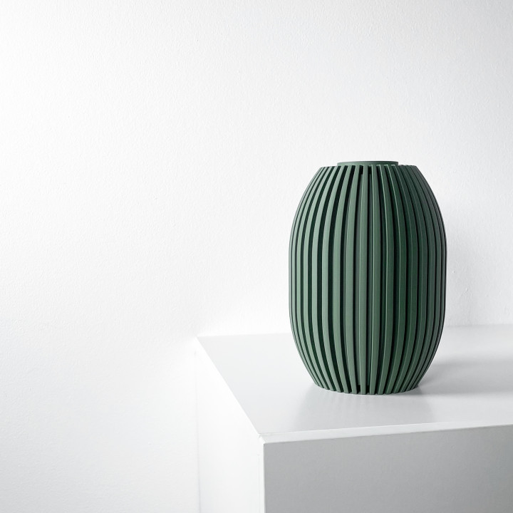 The Eclano Vase, Modern and Unique Home Decor for Dried and Preserved Flower Arrangement  | STL File image