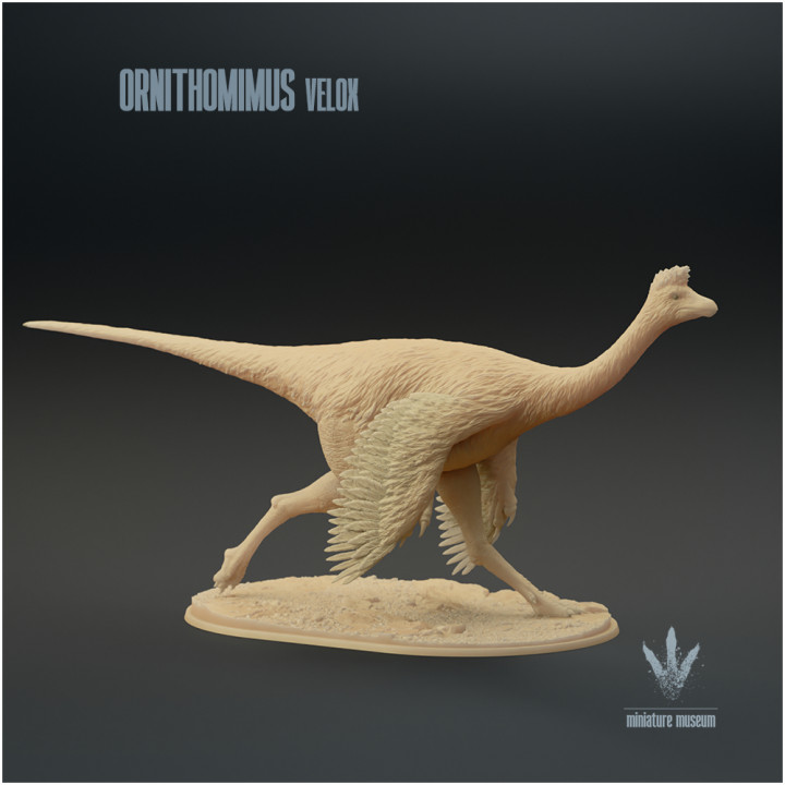 Ornithomimus velox : Running